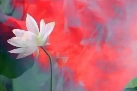 真心直说