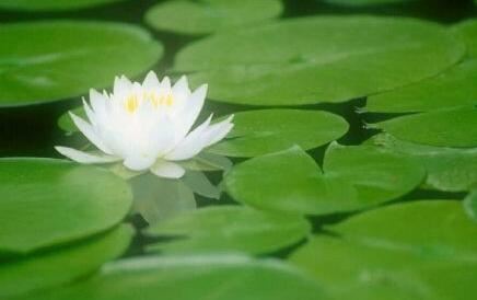 佛说大摩里支菩萨经