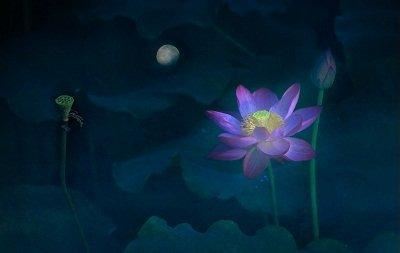 根本说一切有部毗奈耶杂事