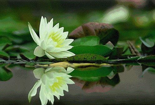 文殊师利问菩提经