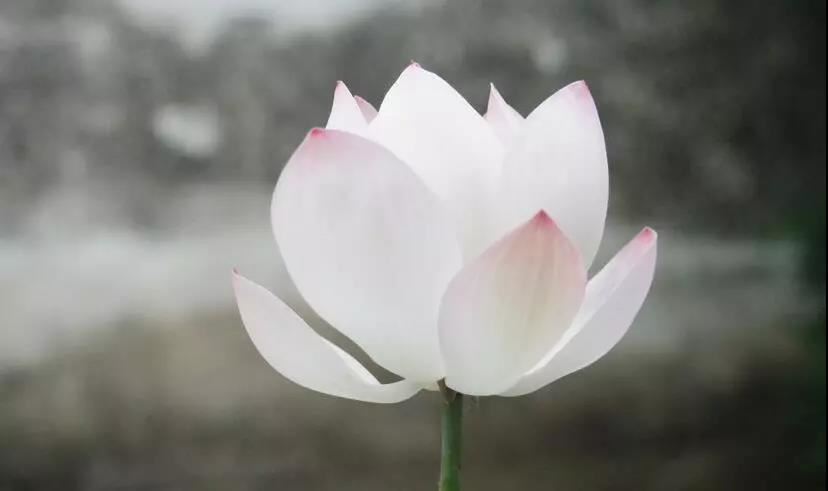 圣虚空藏菩萨陀罗尼经