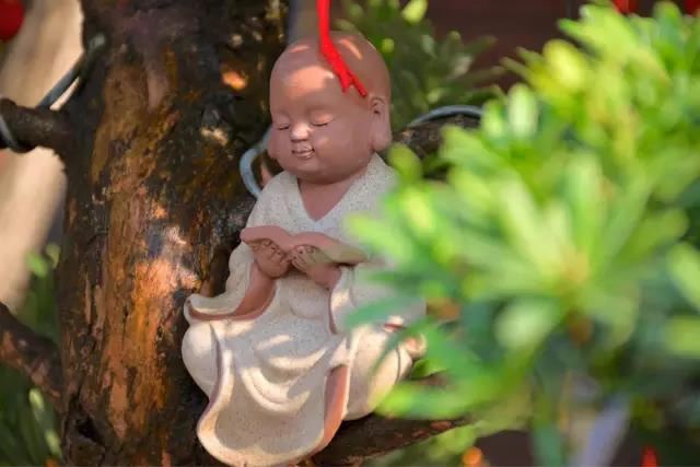往生西方净土瑞应传