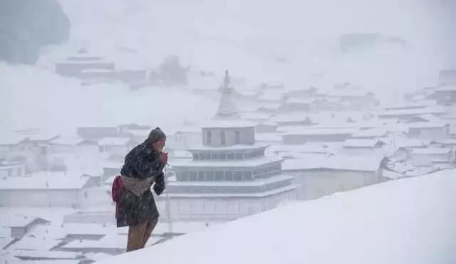 佛说不自守意经
