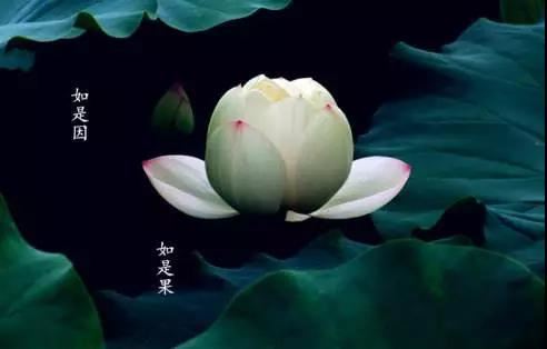 三论玄义