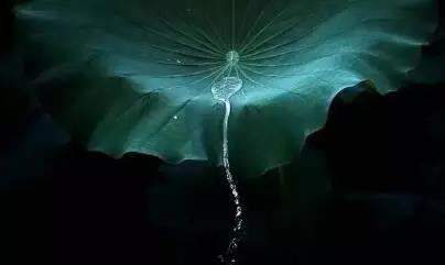 六字神咒王经