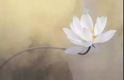 佛顶尊胜心破地狱转业障出三界秘密陀罗尼