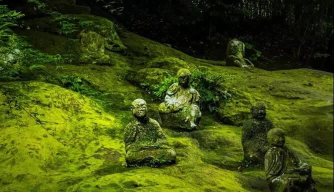 因明入正理论疏