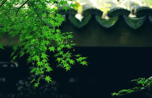放光般若经