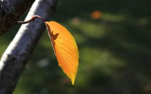 和菩萨戒文