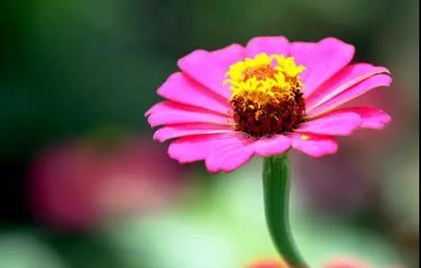 大慈大悲救苦观世音自在王菩萨广大圆满无碍自在青颈大悲心陀罗尼
