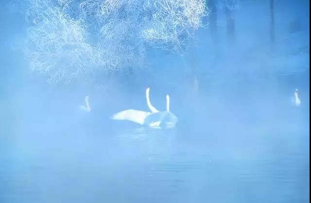 禅行法想经