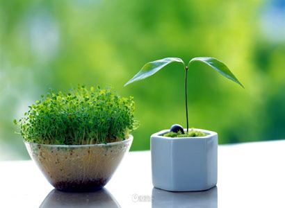 大毗卢遮那佛说要略念诵经