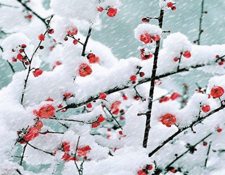 大乘密严经
