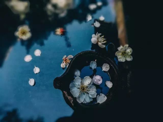 观无量寿佛经义疏
