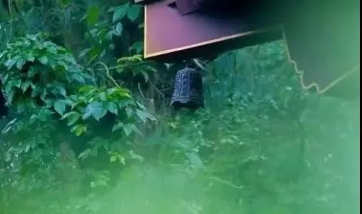 佛说大乘入诸佛境界智光明庄严经