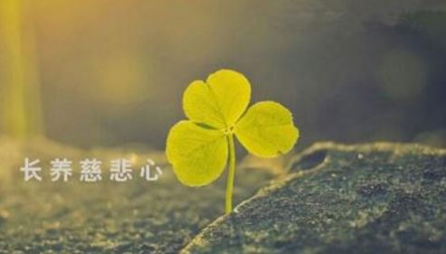 四教义