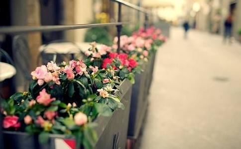 嘉兴藏第29册No.B227集文字禅