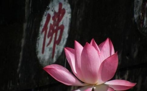 嘉兴藏第38册No.B413黄莲东岩禅师语录