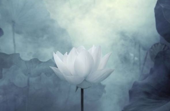 卍新纂续藏经第25册No.0478金刚经笔记